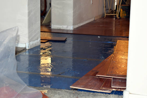 Professional Burst Pipe Cleanup technician working in Greenvale, NY